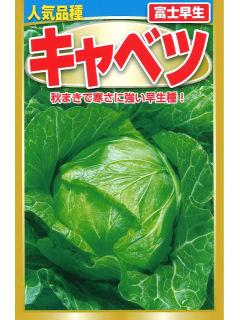 富士早生　キャベツ