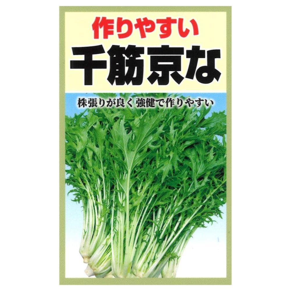 せぶん様 リクエスト 2点 まとめ商品 セイキ 網戸 30－60T 外付け ブロンズ枠 グレーネット の