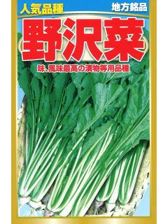 野沢菜