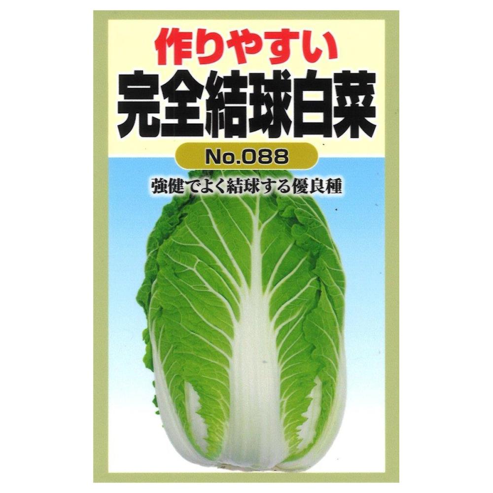 Ｆ１完全結球白菜
