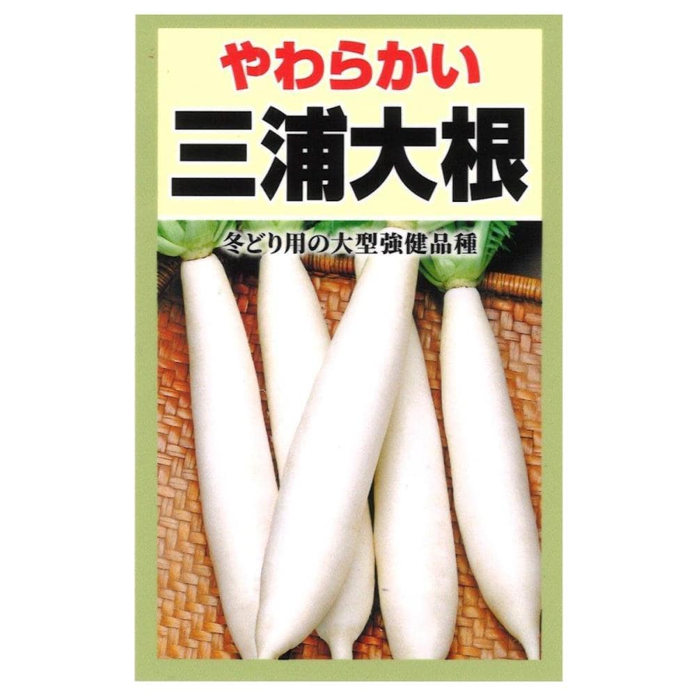 三浦大根
