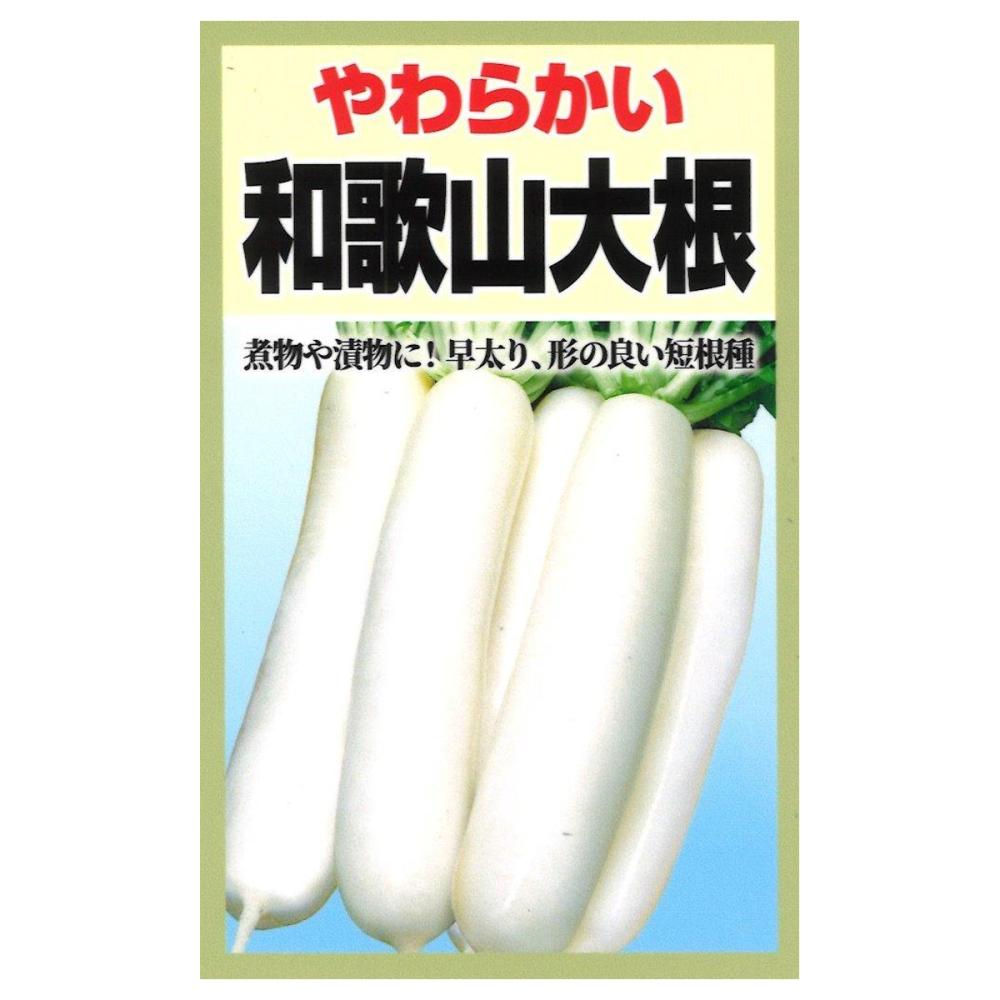 和歌山大根
