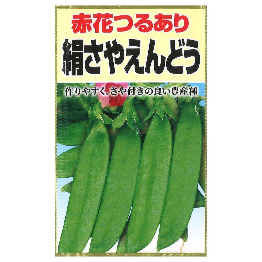 エンドウ種子　　赤花つる有り絹さやえんどう