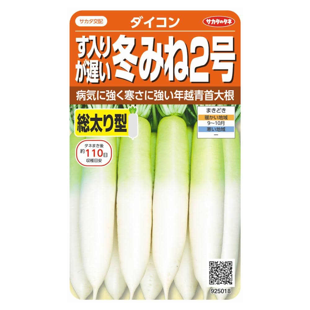 す入りが遅い総太大根　冬みね２号