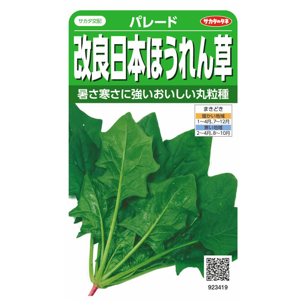 ホウレンソウ種子　改良日本ほうれん草