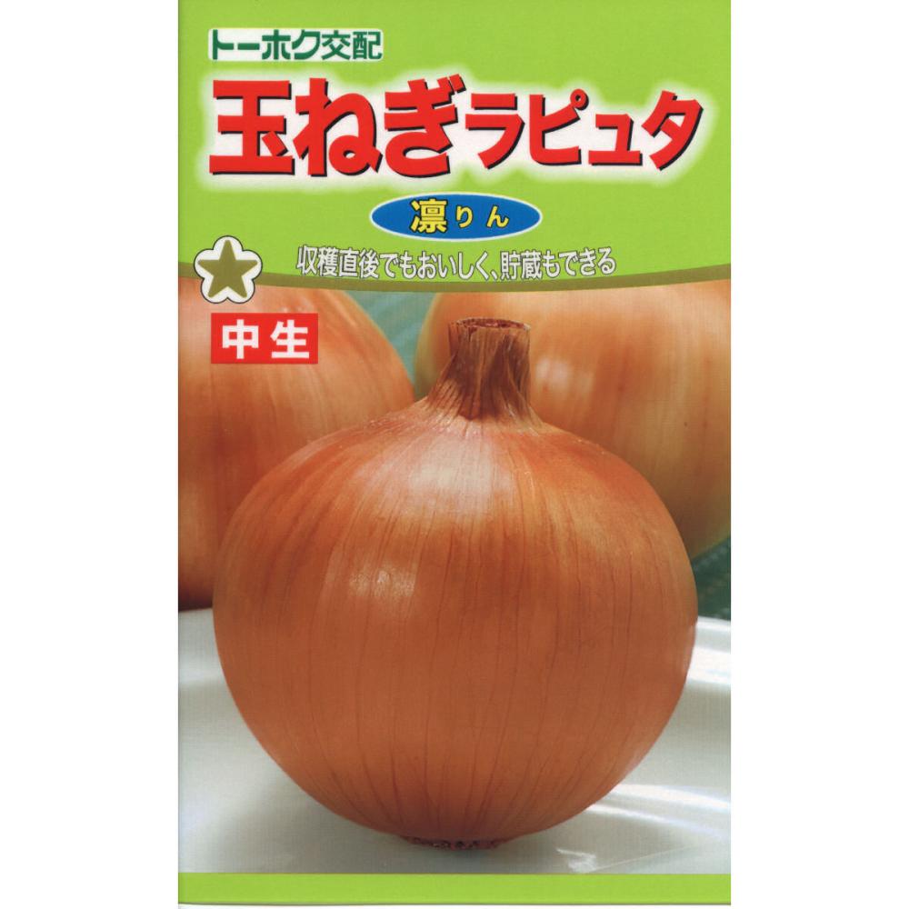 Ｆ１　玉ねぎ　ラピュタ　凛（りん）
