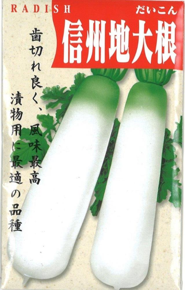信州地大根