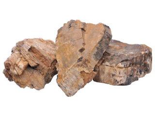 カミハタ　アクアリウムロック　木化石
