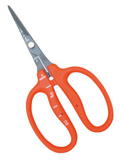 近正　ステンフッ素ぶどう鋏　Ｂ－５００ＳＦ