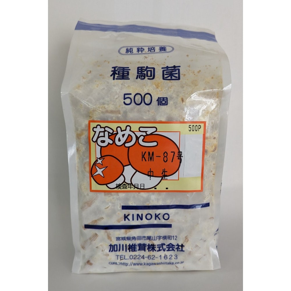 【キノコ予約】　なめこ種駒　ＫＭ－８７号　中生種　５００Ｐ　【申込期限：２月２２日】