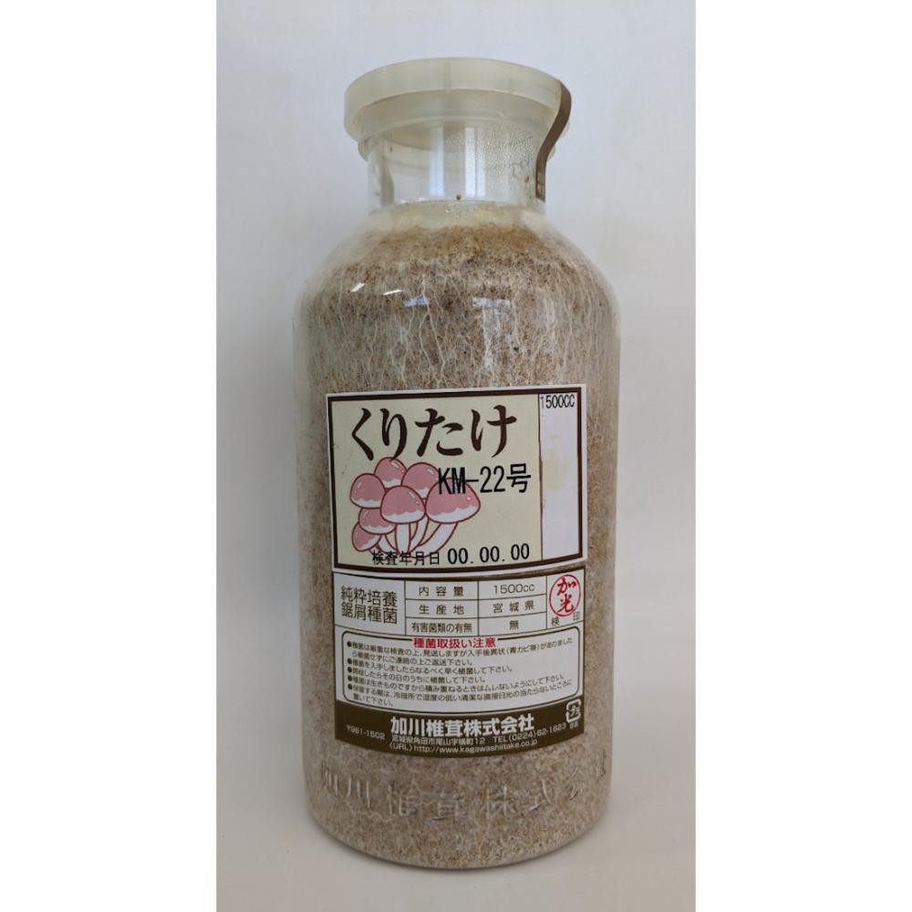 【キノコ予約】　くりたけおが菌　１５００ｃｃ　【申込期限：２月２２日】