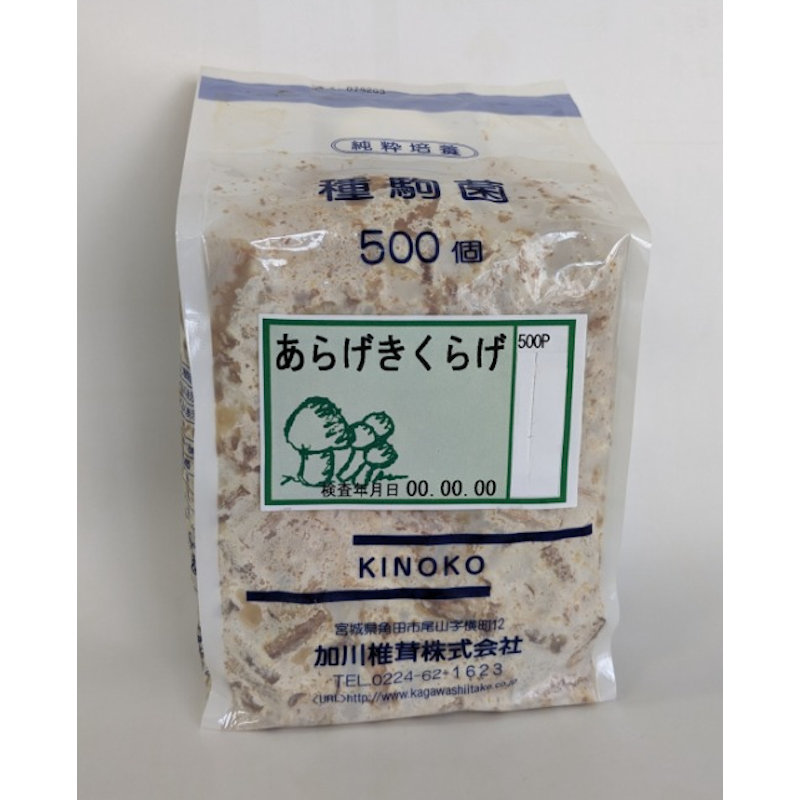 【キノコ予約】　あらげきくらげ種駒　５００Ｐ　【申込期限：２月２２日】