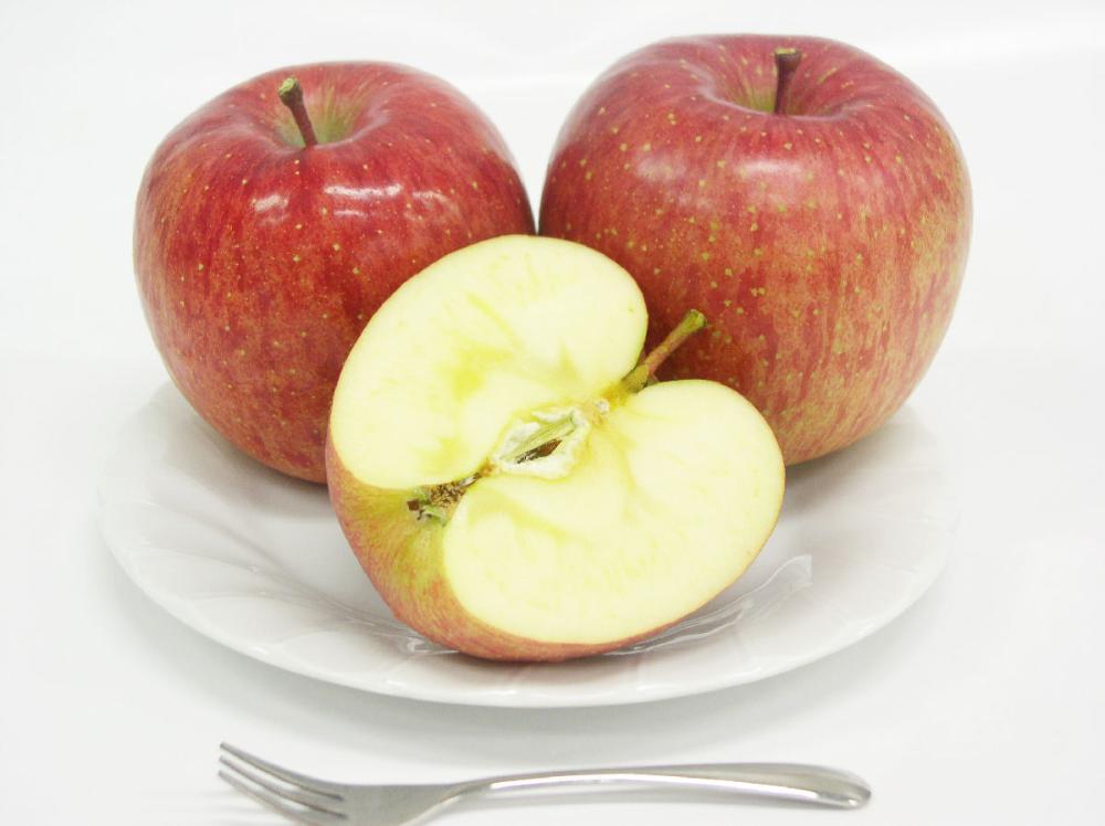 岩手県花巻市石鳥谷産　サンふじりんご　家庭用　約４．５ｋｇ（１３～１６玉入）【注文期限：2026年2月20日】