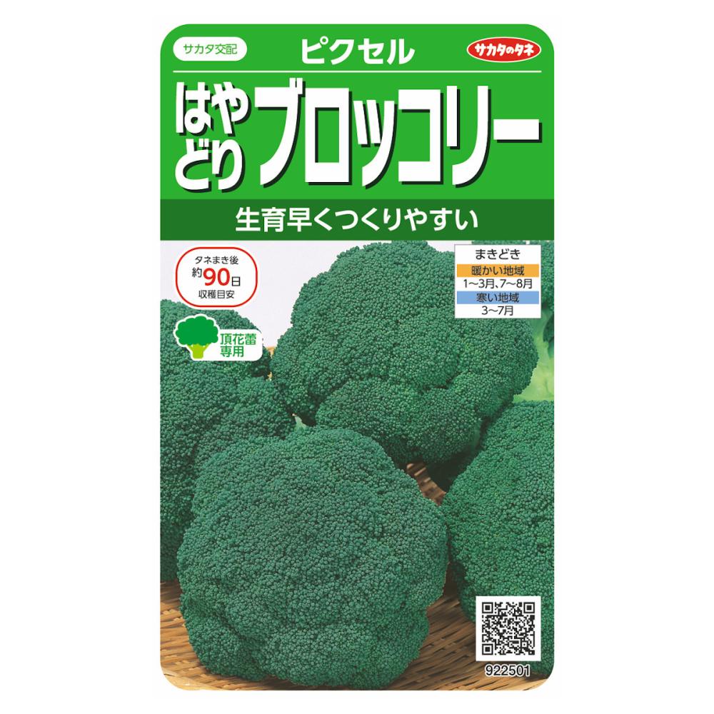 はやどりブロッコリー　ピクセル