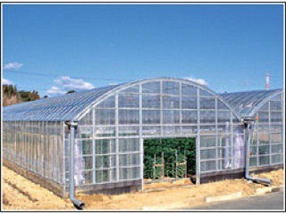 ウェーブロックムテキ　巾３３５ｃｍ（オーダー加工品）