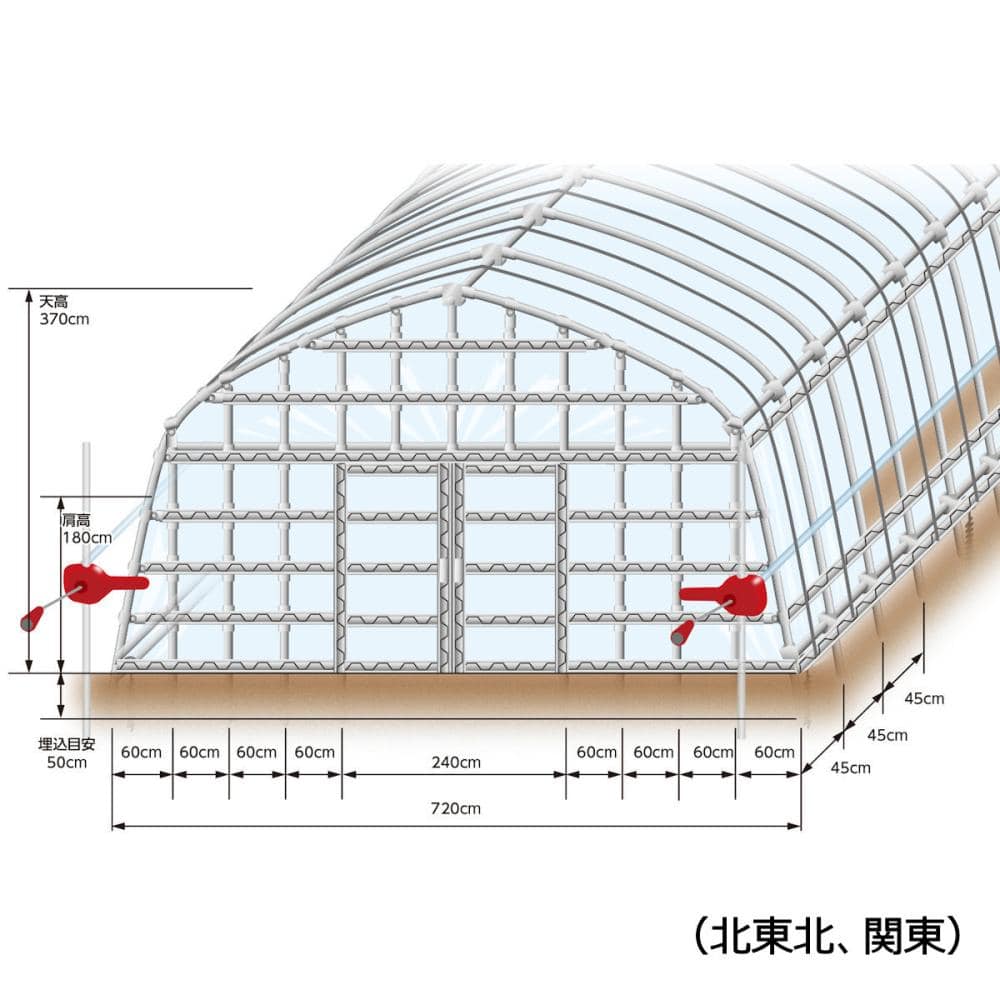 ＤＸ育苗ハウス　パイプ径２５ｍｍ　間口４間×奥行８間　（青岩秋）