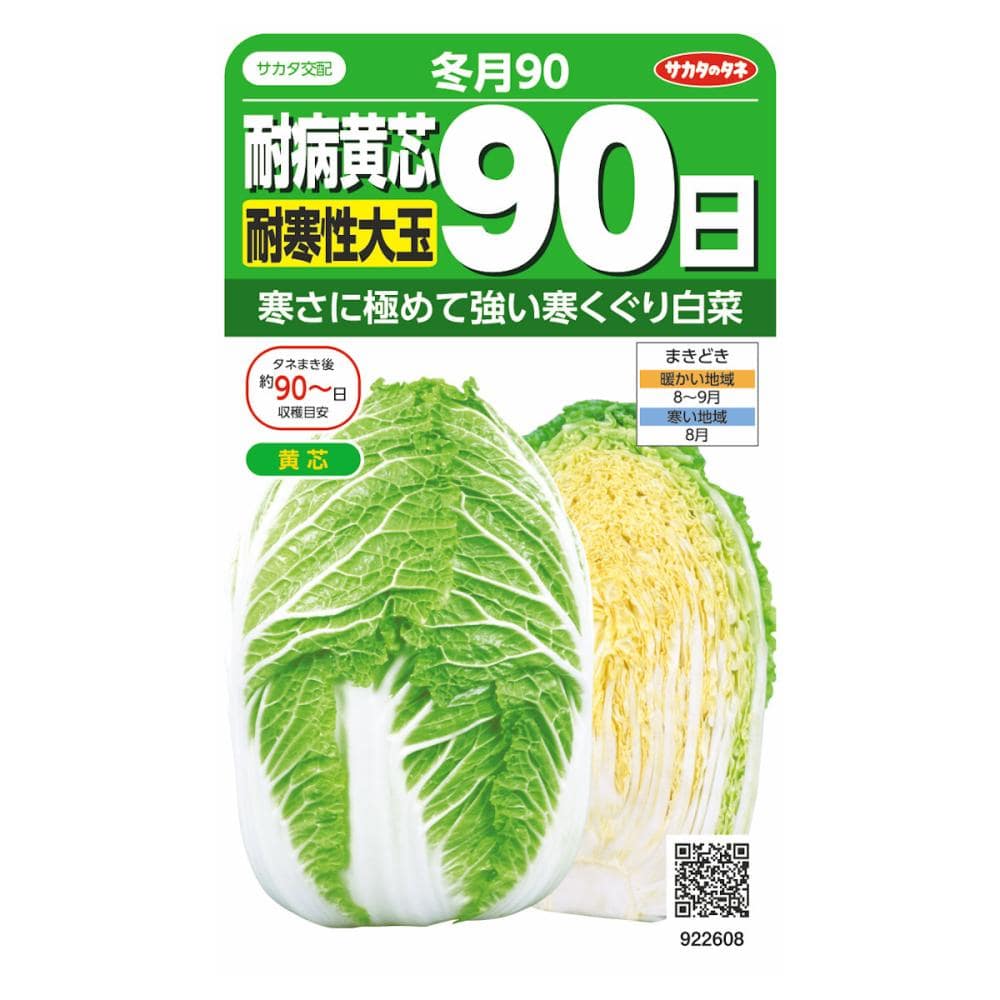 耐病黄芯９０日型　冬月９０