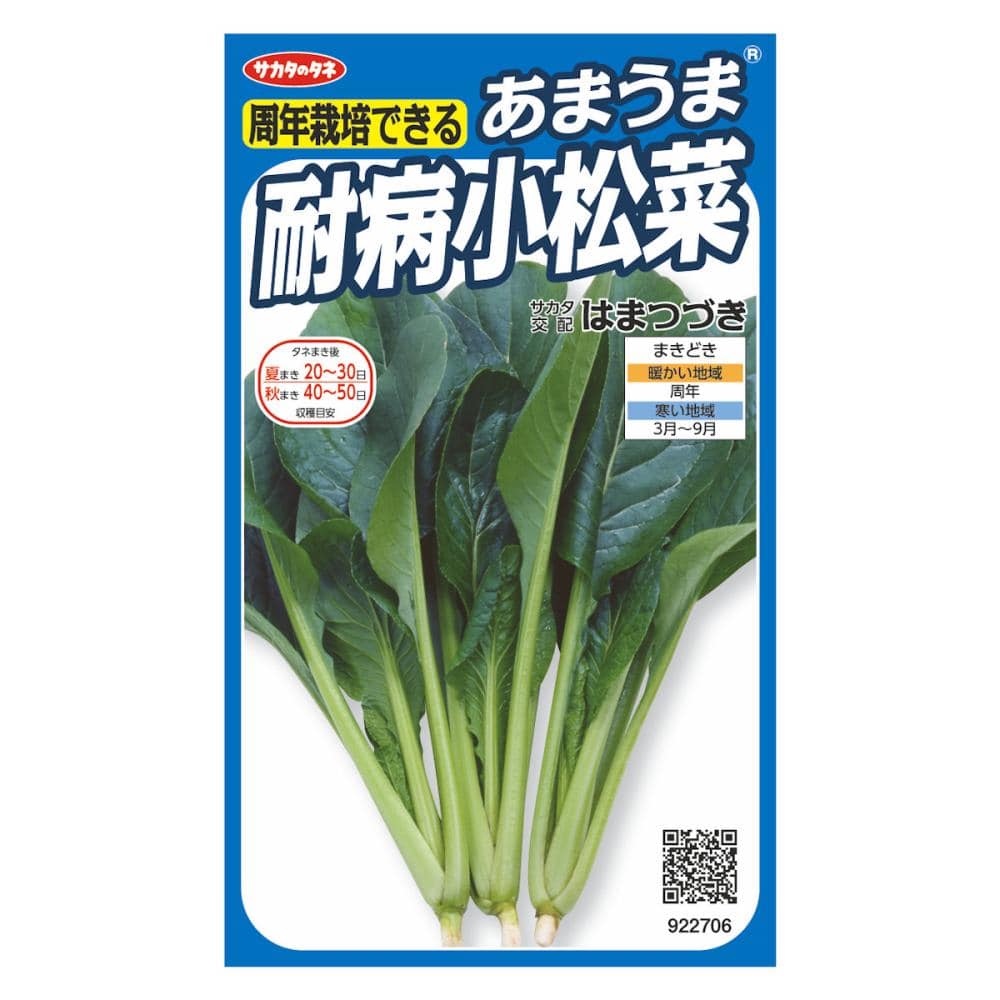 あまうま耐病小松菜　はまつづき