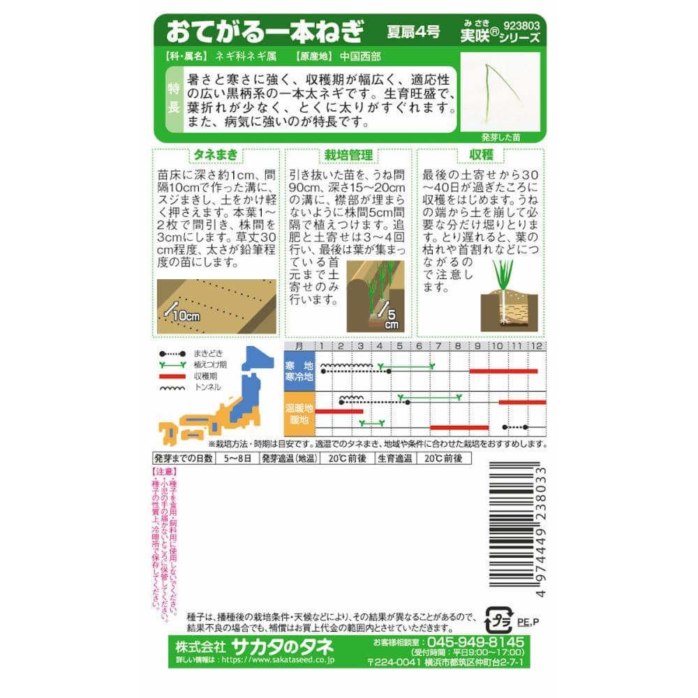 ネギ種子　おてがる一本ねぎ　夏扇４号