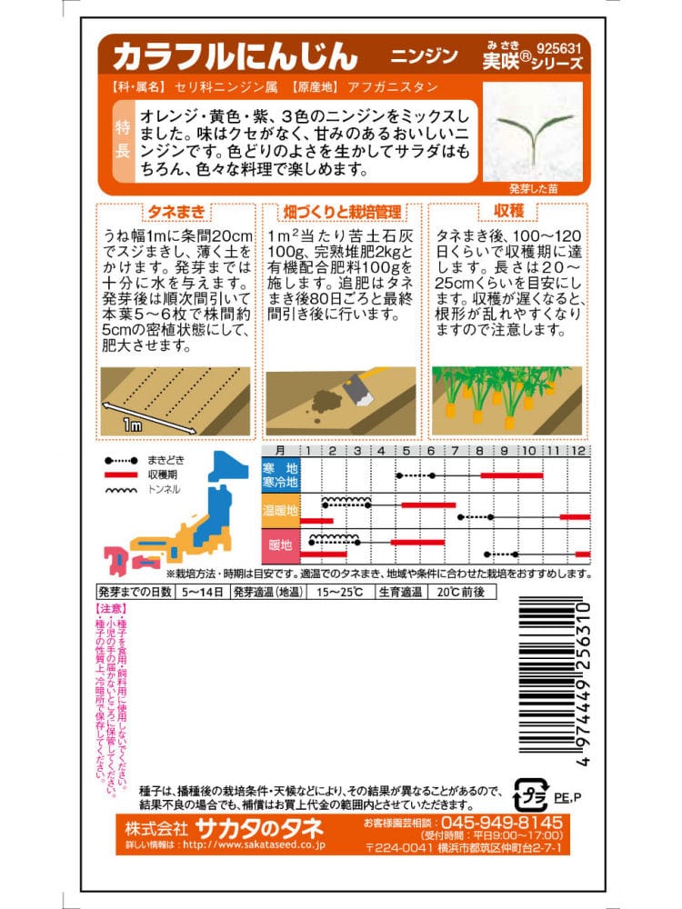 ニンジン種子　カラフルにんじん