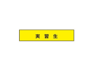 TOYO 腕章 実習生 NO.65-F08