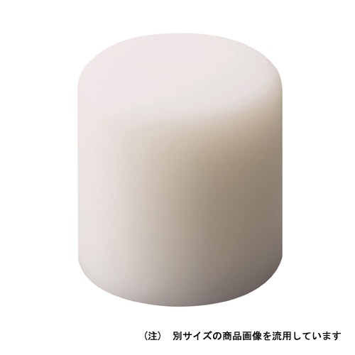 ＯＨ　ＮＴプラハンマー替ヘッド　ＮＴ－１０Ｈ