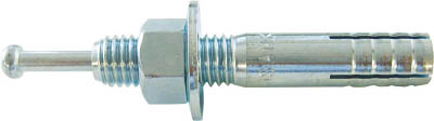 TRUSCO オールアンカーCタイプ M10X50 10本入_