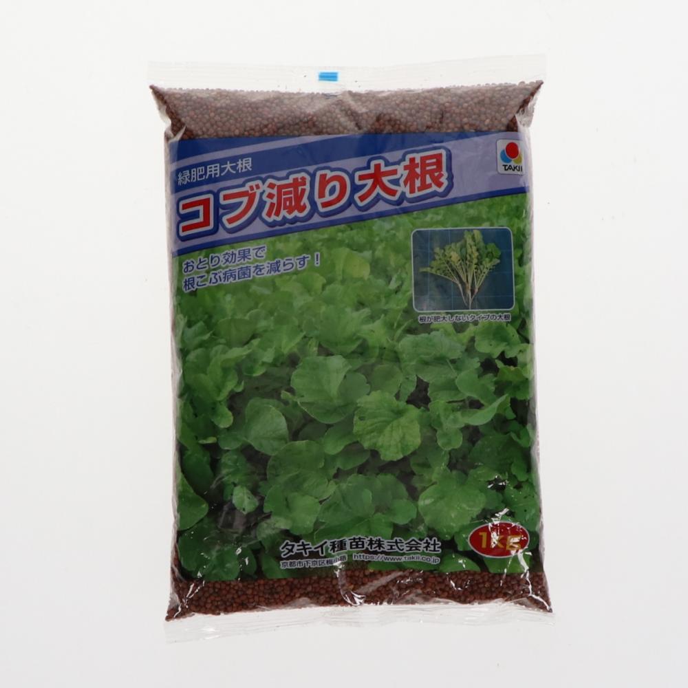 【緑肥種子】　緑肥用だいこん　コブ減り大根　１ｋｇ　５袋