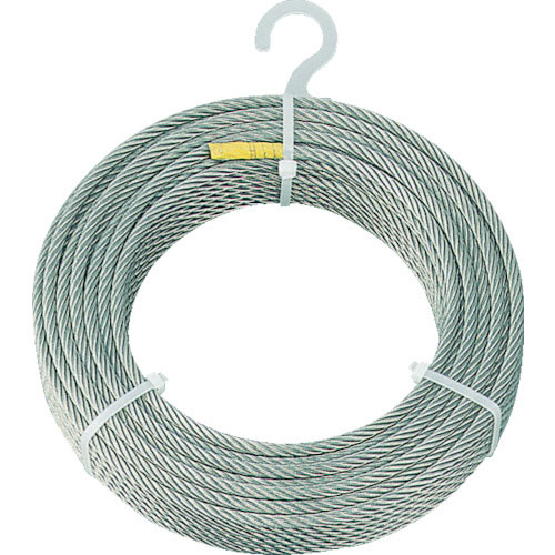 ＴＲＵＳＣＯ　ステンレスワイヤロープ　Φ６．０ｍｍＸ２００ｍ　ＣＷＳ－６Ｓ２００＿