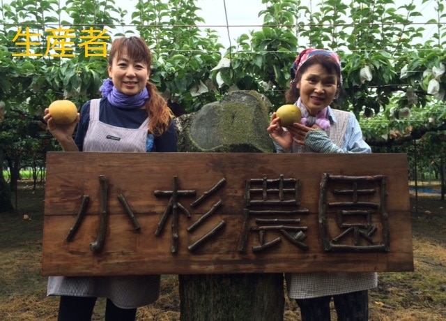 【注文期限：10月20日】新潟県産　小杉農園の特選「おけさ柿」　約３ｋｇ（１５～１８玉入）
