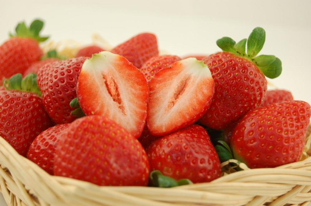 【ご注文期限2026年4月20日】愛媛県産 完熟名水天使のいちご(レッドパール) 約250g(7~12個)×4パック