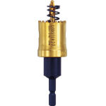 エビ バイメタルホルソー 19mm 六角軸_