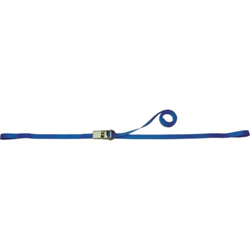 TESAC ラッシングベルト(ベルト荷締機)ラチェットバックル式アイタイプ_