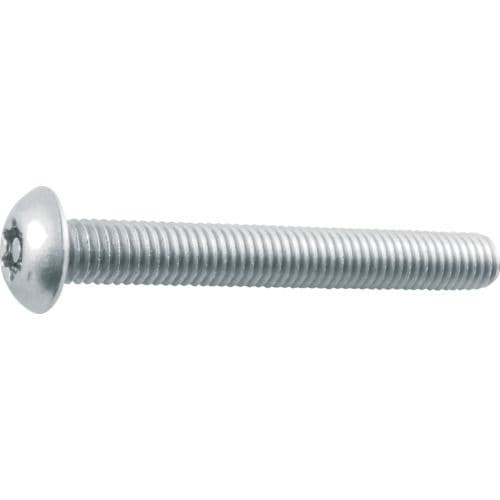 ＴＲＵＳＣＯ　６ロブボタンボルト　ステンレス　Ｍ５Ｘ２５　１０本入＿