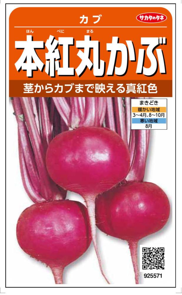 本紅丸かぶ　カブ