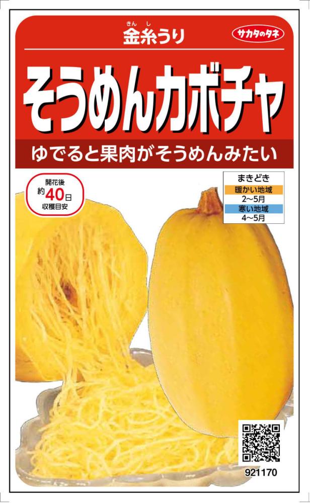 そうめんカボチャ　金糸うり