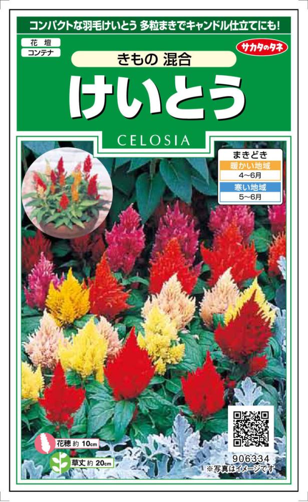 けいとう　きもの混合