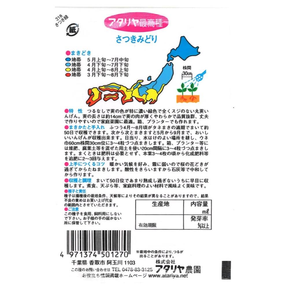 インゲン種子　つるなしさつきみどり２号