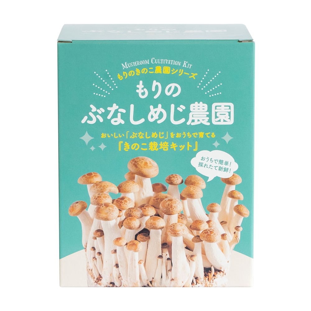 【キノコ予約】　もりのぶなしめじ農園　【申込期限：２月２２日】