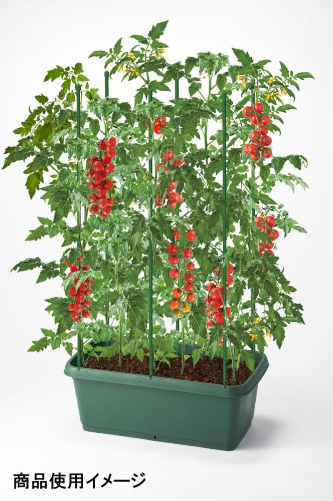 菜園プランター 720型 48L ダークグリーンの通販 | ホームセンター コメリドットコム 菜園プランター 720型 48L ダークグリーンの通販 | ホームセンター コメリドットコム