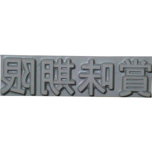 テクノマーク　特注活字（８ｍｍ）賞味期限＿