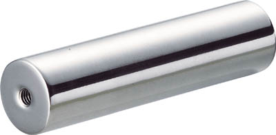 TRUSCO サニタリマグネット棒 25X100_