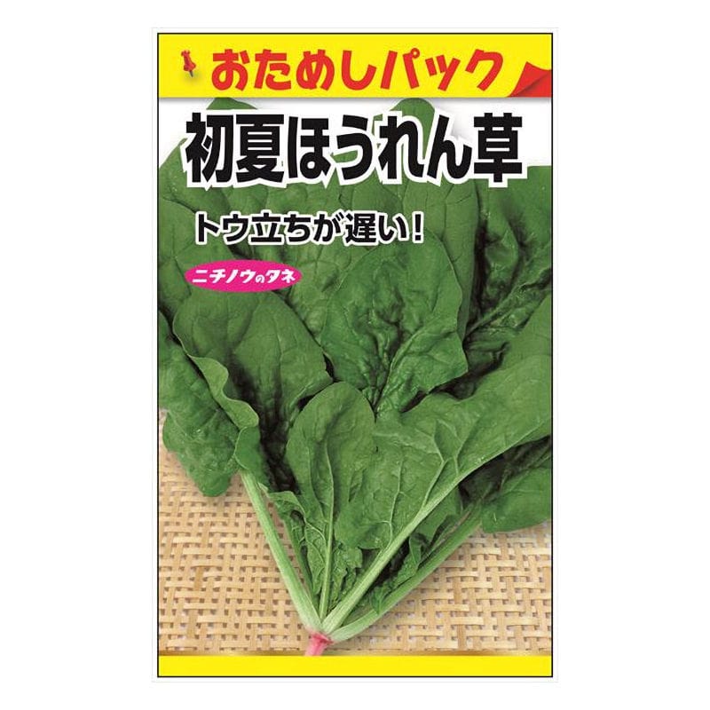 ニチノウのタネ 初夏ほうれん草 おためしパック