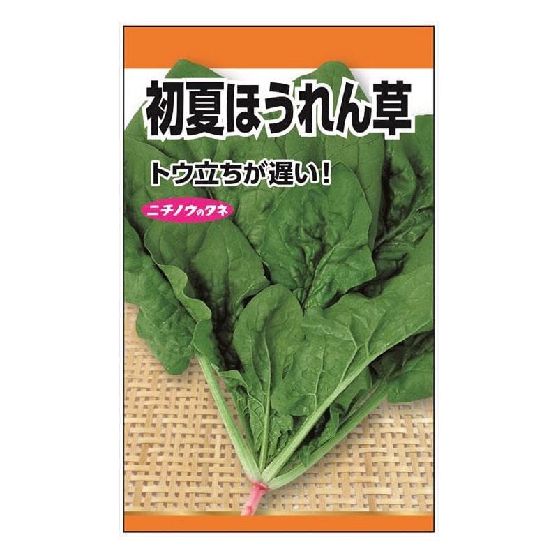 ニチノウのタネ　初夏ほうれん草