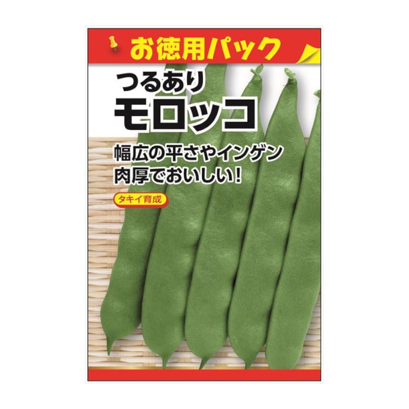 タキイ育成　つるありモロッコ　お徳用パック