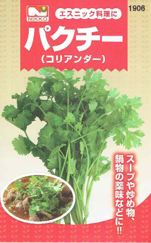 【宅配専用】　葉菜種子　パクチー
