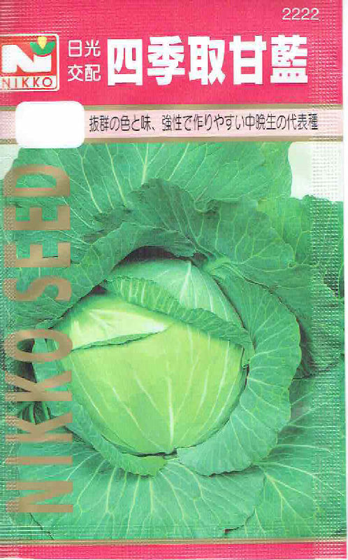 【宅配専用】　葉菜種子　四季取キャベツ