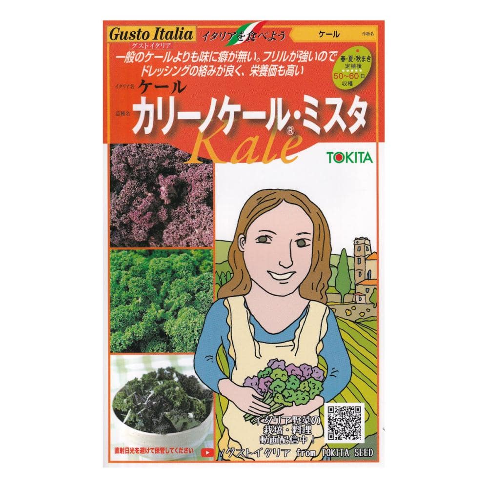 【宅配専用】　葉菜種子　カリーノケール・ミスタ