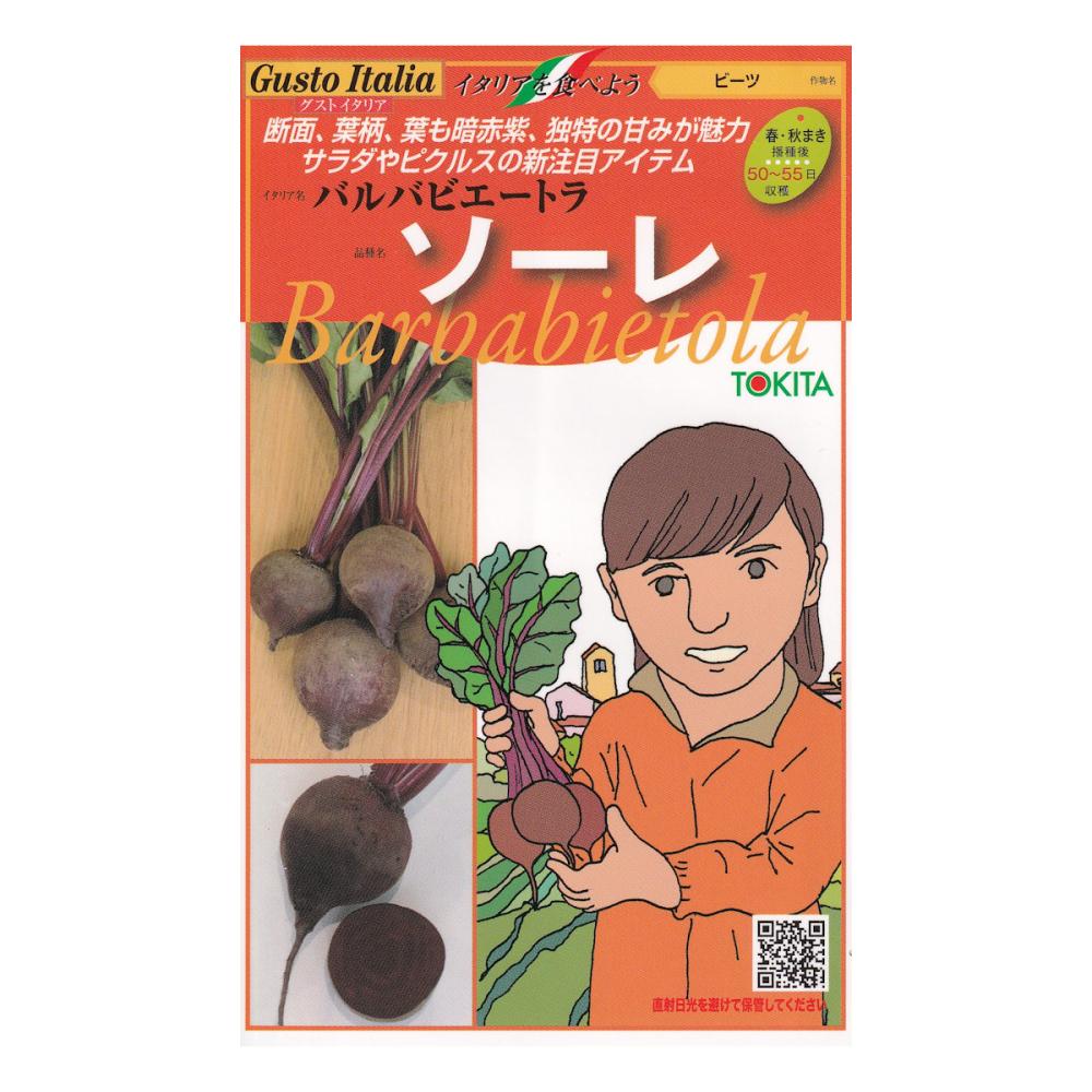 【宅配専用】　葉菜種子　ソーレ