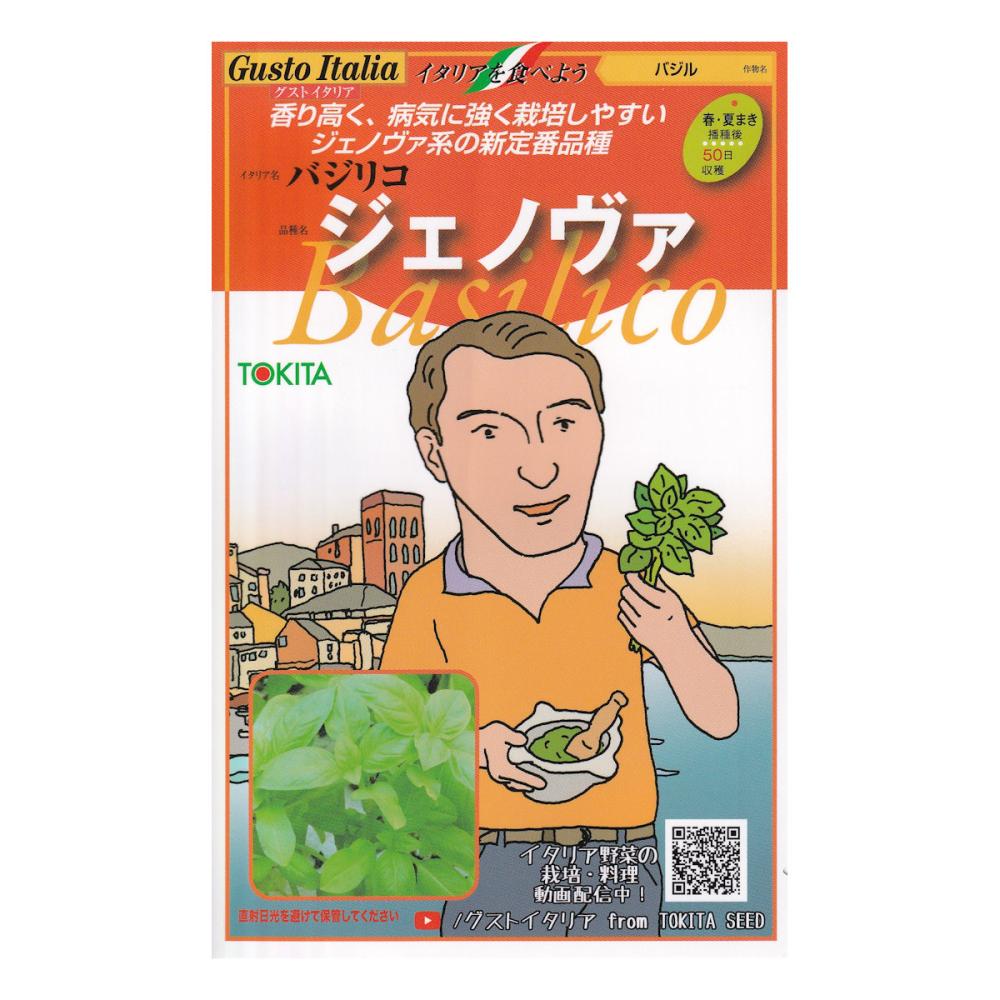 【宅配専用】　葉菜種子　ジェノヴァ